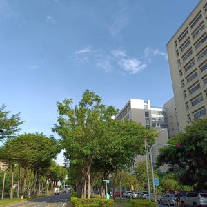 成大方正46地坪美透天超值釋出