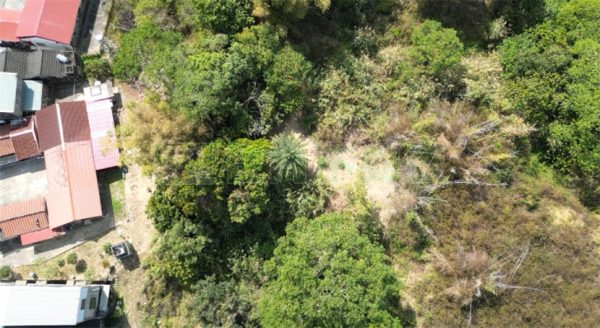 關廟北寮彩繪村建地：圖片 2
