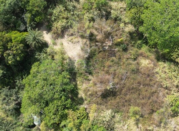 關廟北寮彩繪村建地：圖片 3