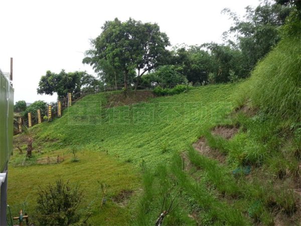 關廟北寮彩繪村建地：圖片 4