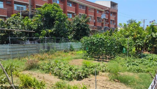 安中路一段建地：圖片 2