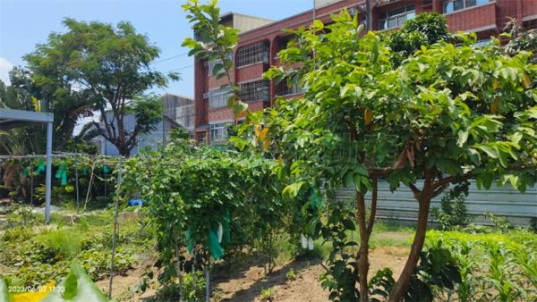 安中路一段建地：圖片 6